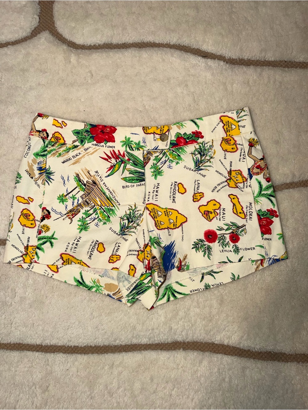 J.Crew Women’s Size 4 Hawaiian Print Tropical High Rise Shorts